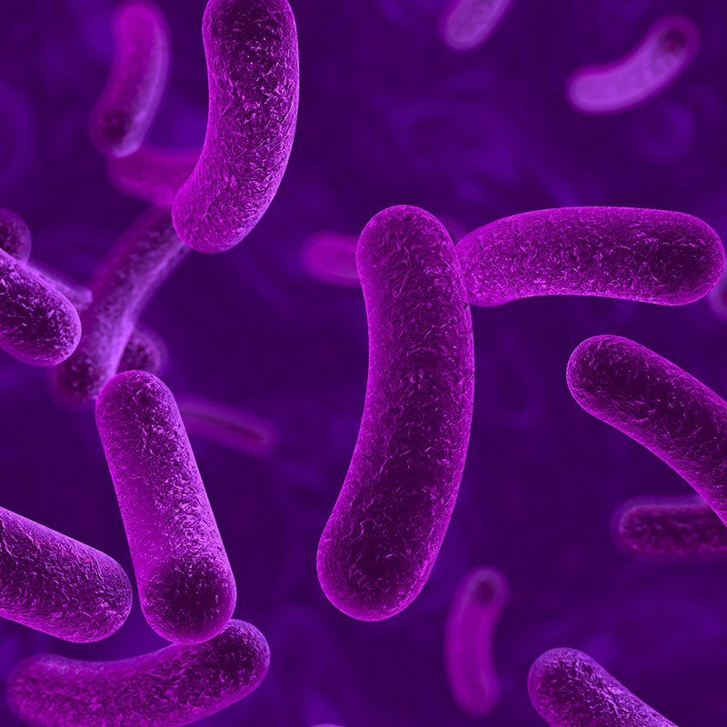 Conceptual impression of bacteria