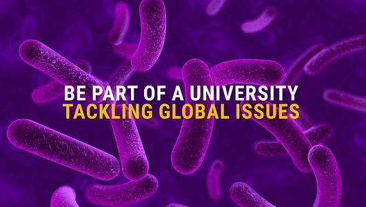 Be part of a university tackling global issues (antibiotics)