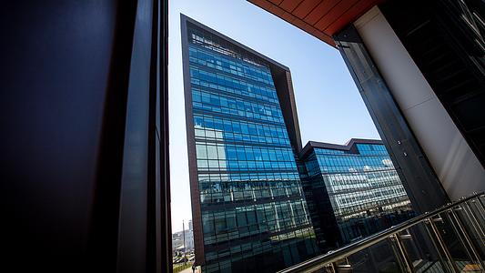View of Roland Levinsky Building from The House