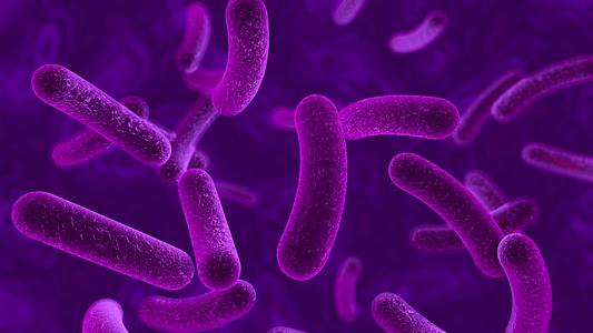 Homepage PG campaign