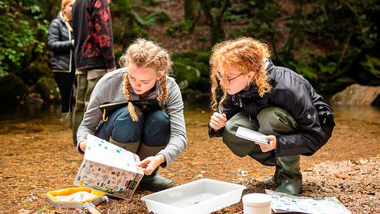 Conservation Biology students conduct Fieldwork at Shaugh Prior, Dartmoor.
