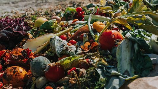 Large amount of wasted food