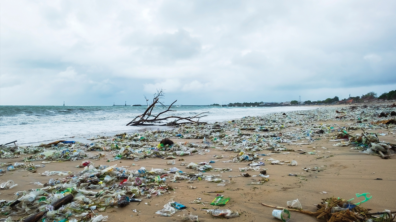 Plastic litter washed up on beach with tree