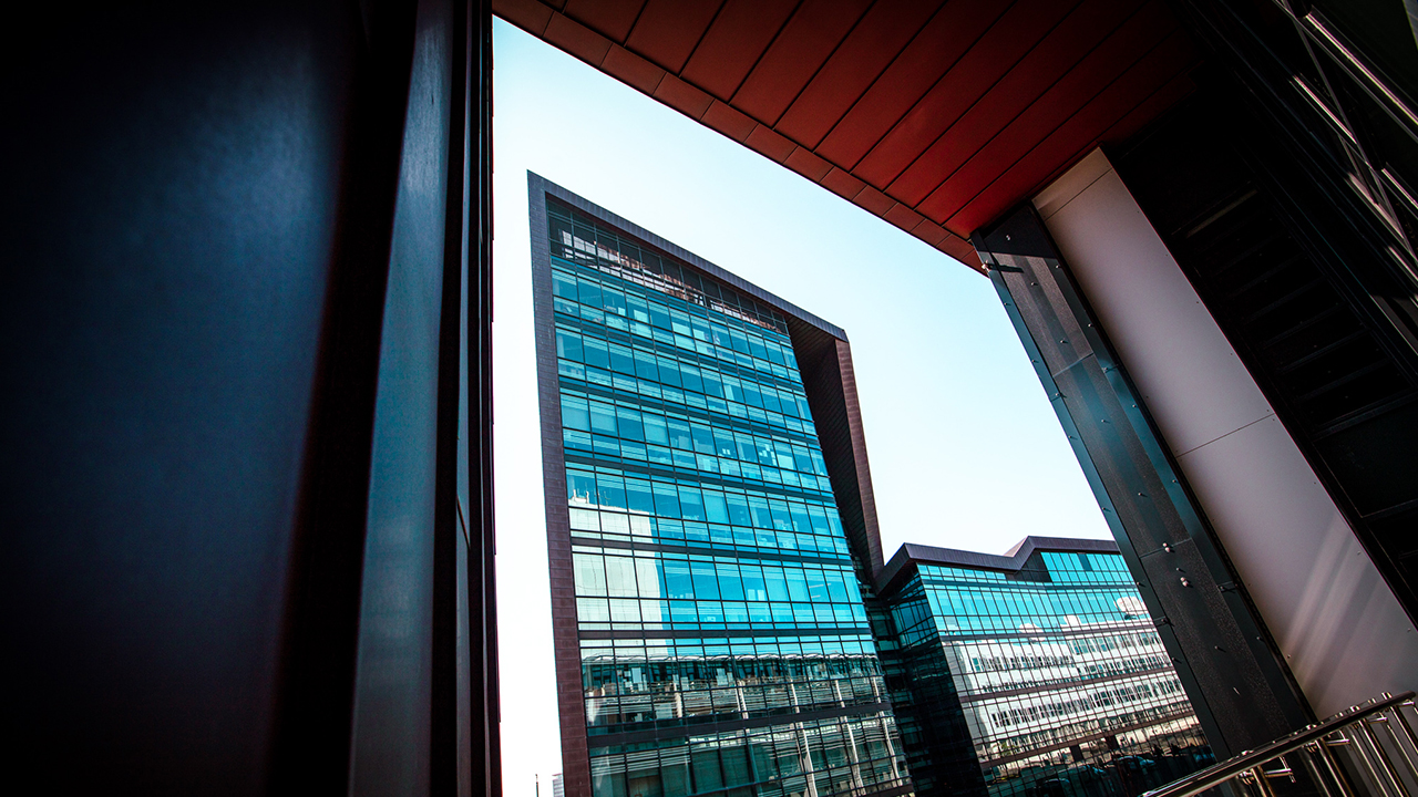 View of Roland Levinsky building from The House