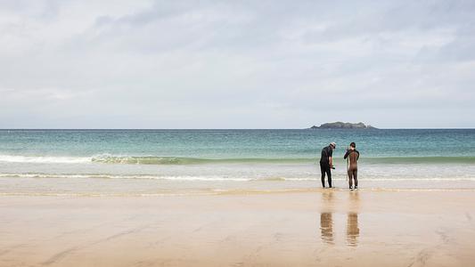 Researchers investigating surf zone ecosystems and fish on a sandy beach with clear seawater and an island
