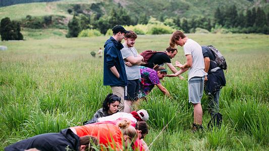 Biological Sciences students on a fieldtrip (full bleed)