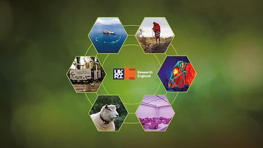 Centre of Research Excellence in Intelligent and Sustainable Productive Systems (CRISPS) lead image showing a hand holding soil and a plant.