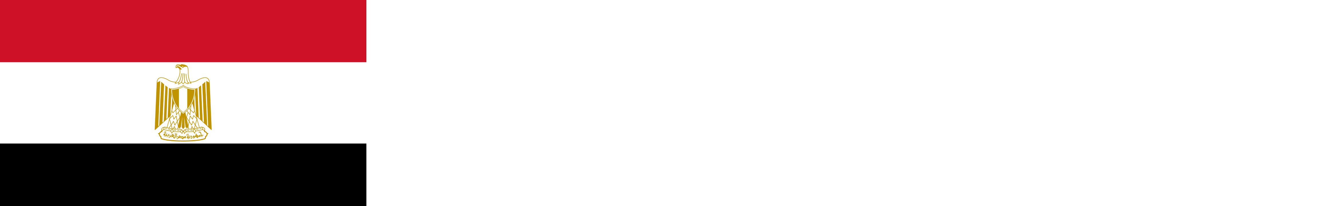 Egypt flag