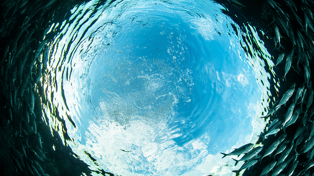 Responsible and Restorative Aquaculture