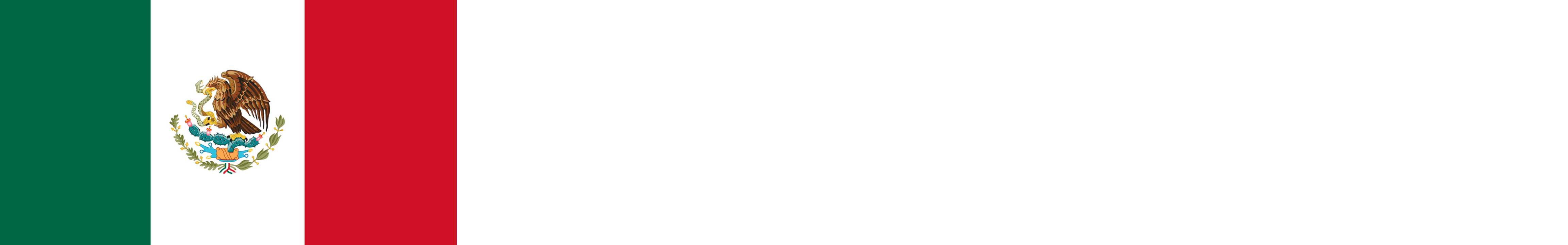 Mexico flag