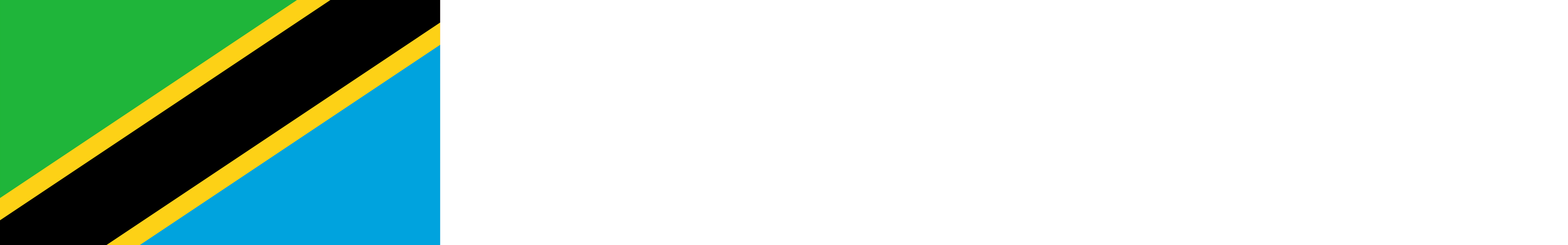 Tanzania flag
