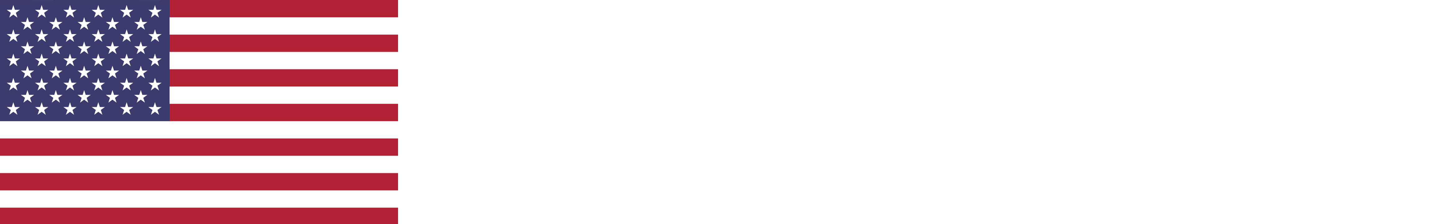 United States of America flag